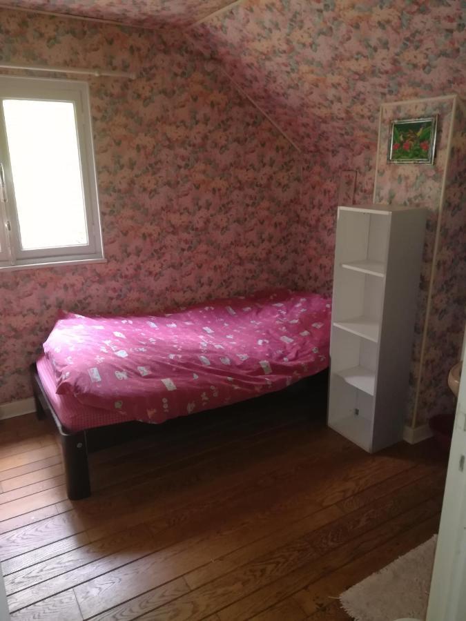 Propriete Bordee D'Etangs, Propice A La Detente Florenville Kültér fotó